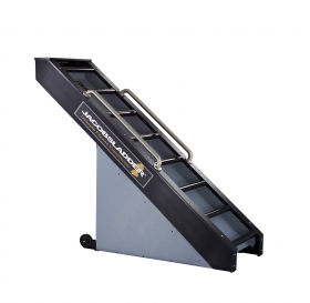 Jacobs Ladder 2 **Ships Free**
